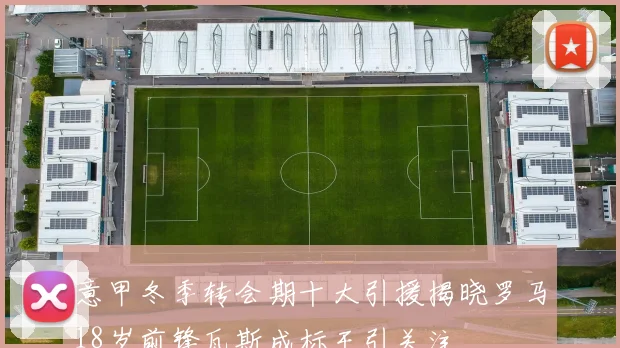 意甲冬季转会期十大引援揭晓罗马18岁前锋瓦斯成标王引关注